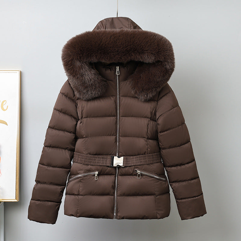 H5673 Women's dressy jacket