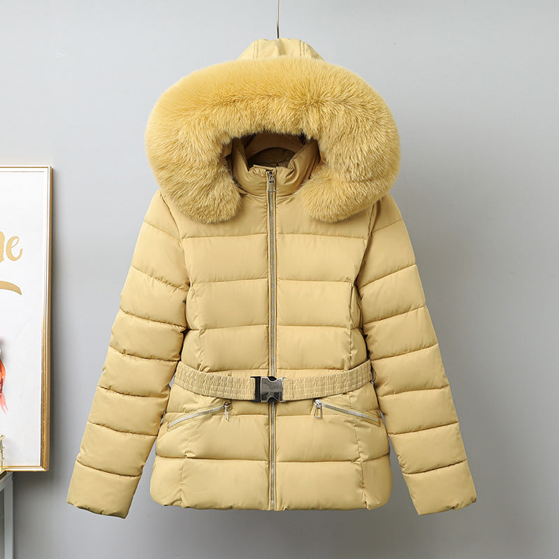 H5671 Women's dressy jacket