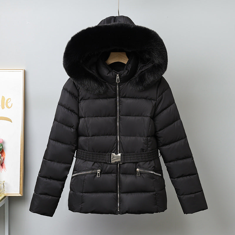 H5723 Women's dressy jacket