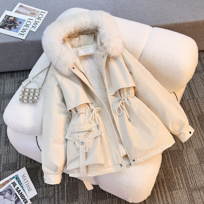 H5724 Women's dressy jacket