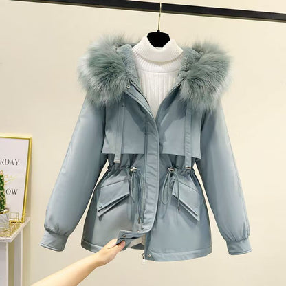 H5719 Women's dressy jacket